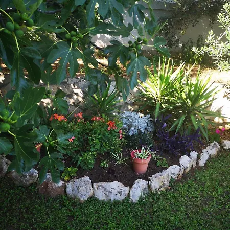 Borik Apartman Zára