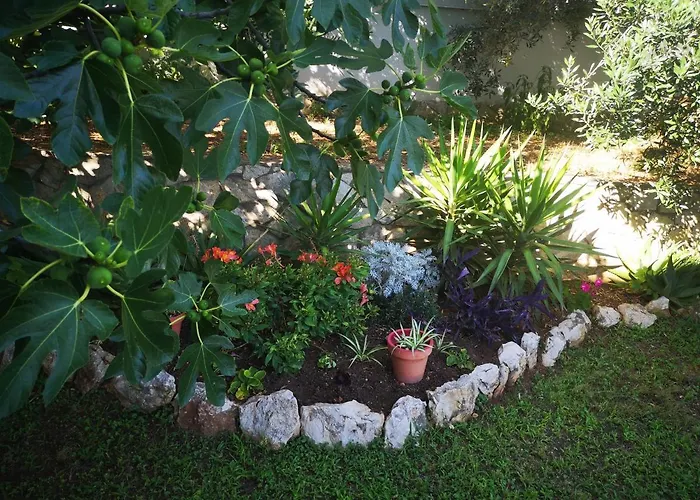 Borik דירה זאדאר